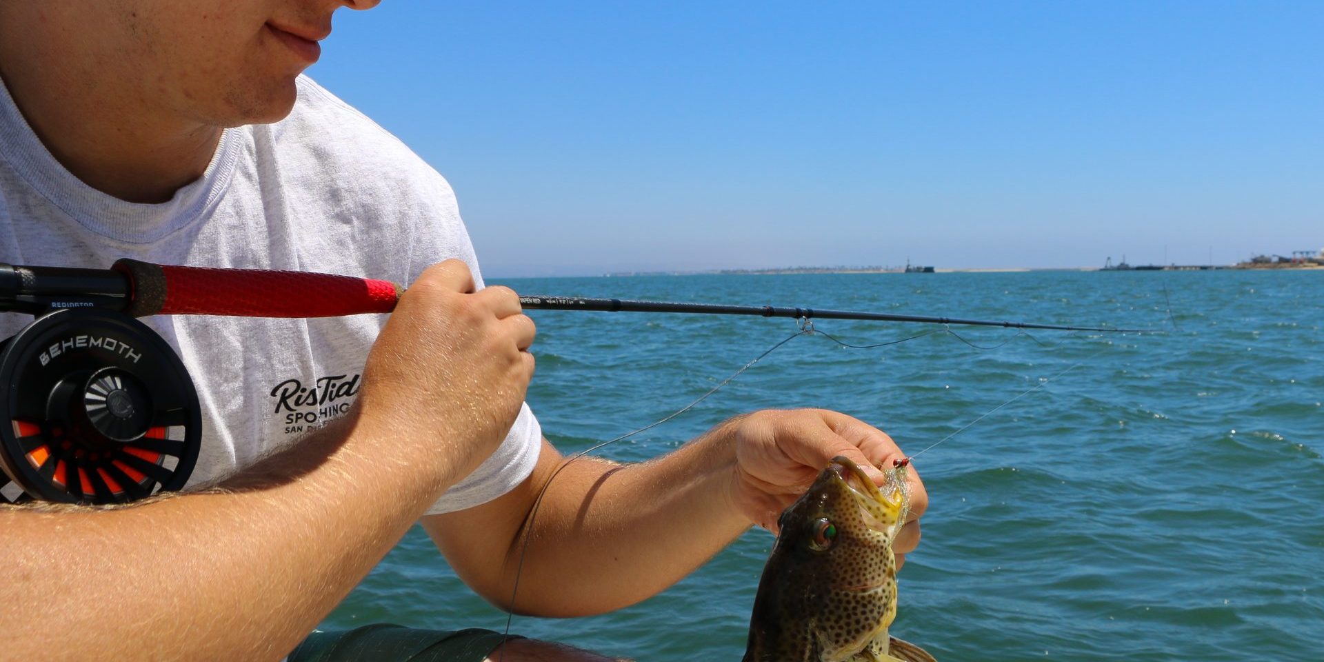 Fly Fishing For Spotted Bay Bass (Video) | Risen Tide Sportfishing
