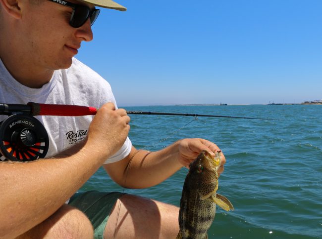 Sam Bass